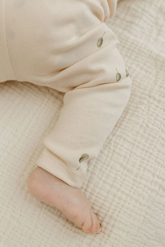 Newborn tights olives