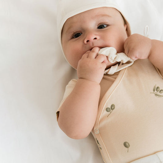 Newborn body short sleeves olives