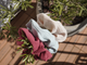 Harvest scrunchie set 3